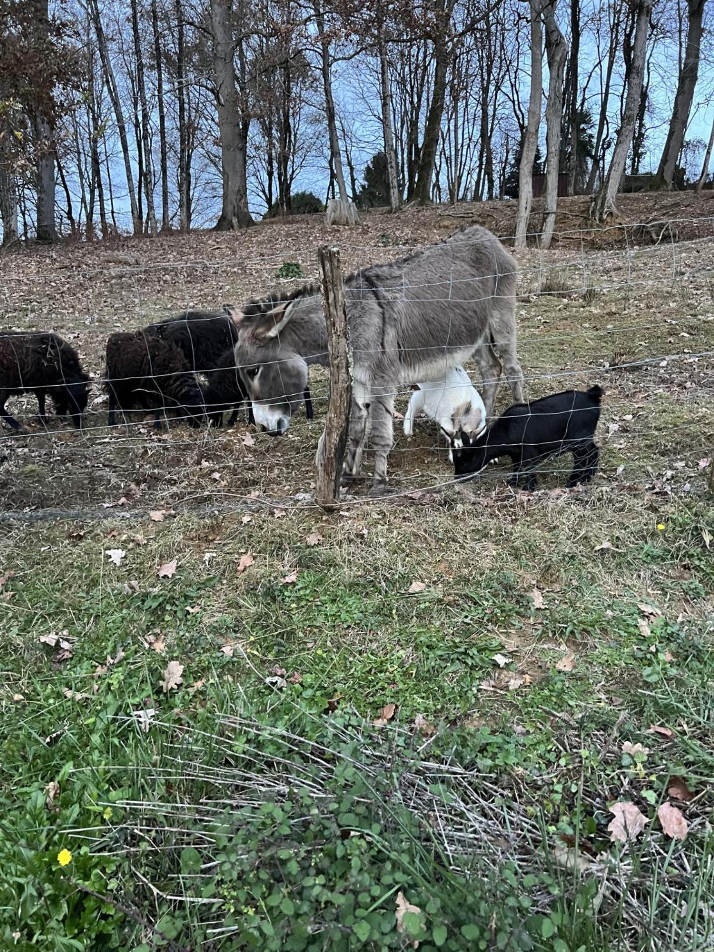 Gite 4/6 Personnes La Melodie Du Bonheur Vila Habas Exterior foto